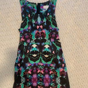 Milly Dress